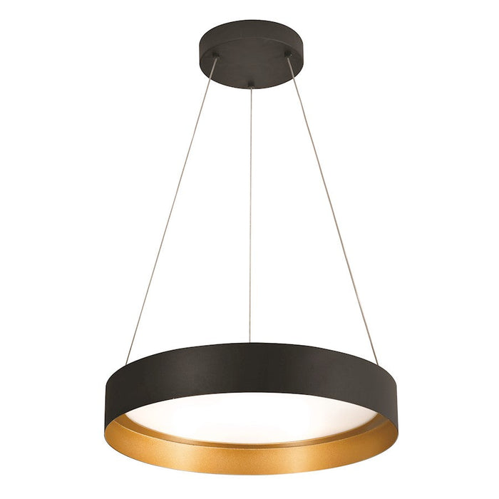 AFX Lighting Reveal LED Pendant, Black/Gold