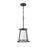 Z-Lite Lenyx Pendant 1 Light 20" Mini Pendant