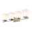 Z-Lite Darcy 4 Light Vanity, Etched Opal