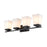 Z-Lite Darcy 4 Light Vanity, Etched Opal