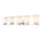 Z-Lite Darcy 5 Light Vanity, Etched Opal