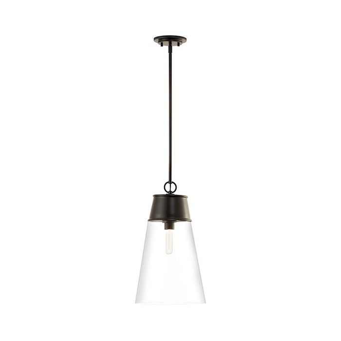 Z-Lite Wentworth 1 Light 12" Pendant in Matte Black/Clear - 2300P12-MB