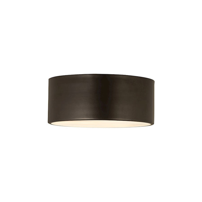 Z-Lite Harley 2 Light Flush Mount, Bronze - 2302F2-BRZ