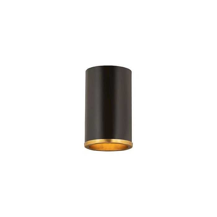 Z-Lite Arlo 1 Light Flush Mount, Matte Black/Rubbed Brass - 2303F1-MB-RB