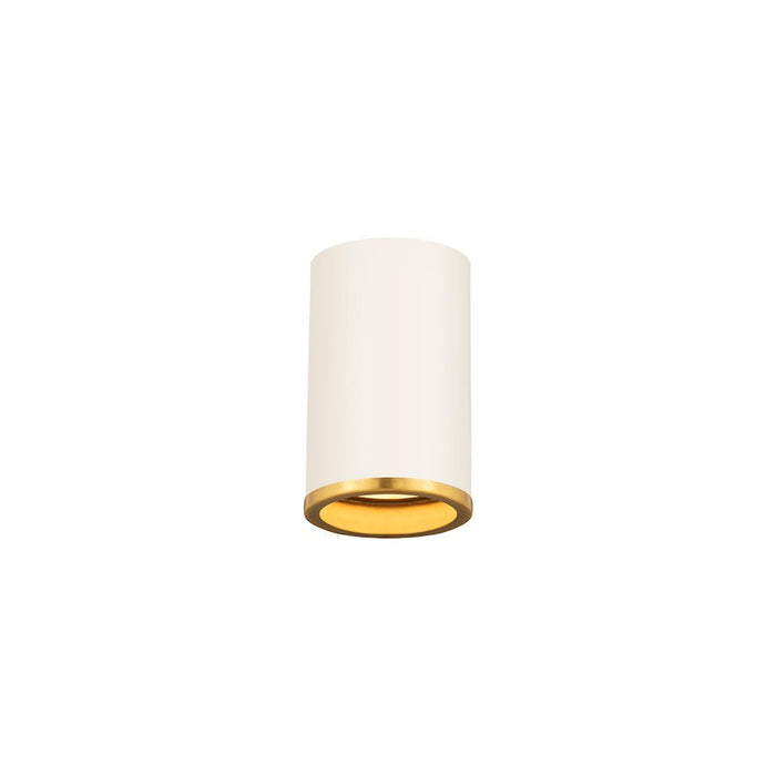 Z-Lite Arlo 1 Light Flush Mount, Matte White/Rubbed Brass - 2303F1-MW-RB