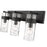 Z-Lite Fontaine 3 Light Vanity, Clear