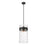 Z-Lite Fontaine  Pendant, Clear