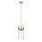 Z-Lite Fontaine  Pendant, Clear