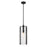 Z-Lite Alverton 1 Light Pendant, Matte Black/Clear - 3036P8-MB