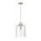 Z-Lite Kinsley 1 Light Pendant, Clear Seeded