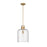 Z-Lite Kinsley 1 Light Pendant, Clear Seeded