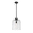 Z-Lite Kinsley 1 Light Pendant, Clear Seeded