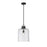 Z-Lite Kinsley 1 Light Pendant, Clear Seeded