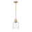 Z-Lite Kinsley 1 Light Pendant, Clear