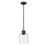 Z-Lite Kinsley 1 Light Pendant, Matte Black/Clear - 340P8-MB