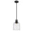 Z-Lite Kinsley 1 Light Pendant, Clear