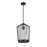 Z-Lite Lido 1 Light Pendant, Matte Black/Clear