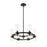 Z-Lite Datus Light Chandelier