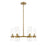 Z-Lite Datus Light Chandelier