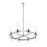 Z-Lite Datus Light Chandelier