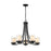 Z-Lite Willow 5 Light 22" Chandelier, Black, Inner White/Outer Clear - 426-5-MB