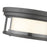 Z-Lite Willow Light Flush Mount