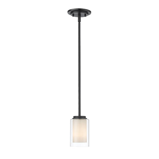 Z-Lite Willow 1 Light 54" Mini Pendant, Black, Inner White