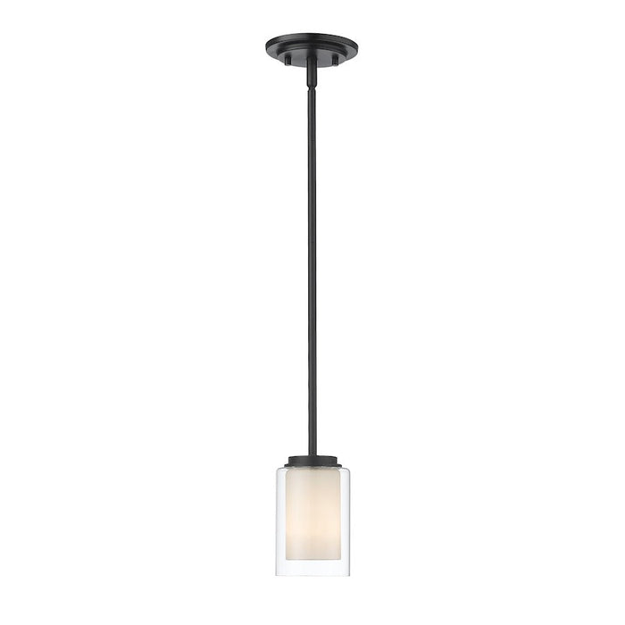 Z-Lite Willow 1 Light 54" Mini Pendant, Black, Inner White