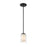 Z-Lite Willow 1 Light 54" Mini Pendant, Black, Inner White