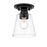 Z-Lite Annora 1 Light Flush Mount, Matte Black/Clear - 428F1-MB