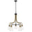 Z-Lite Kraken 5 Light Chandelier, Matte Black/Olde Brass/Clear - 466-5MB-OBR