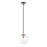 Z-Lite Parsons 1 Light 94" Pendant, Black/Brushed Nickel, Clear - 477P10-MB-BN