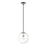 Z-Lite Parsons 1 Light 99" Pendant, Black/Brushed Nickel, Clear - 477P14-MB-BN