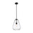 Z-Lite Ayra 1 Light Pendant, Matte Black/Clear