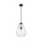 Z-Lite Ayra 1 Light Pendant, Matte Black/Clear