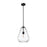 Z-Lite Ayra 1 Light Pendant, Matte Black/Clear