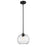 Z-Lite Chloe 1 Light 10" Pendant, Matte Black/Clear - 490P10-MB