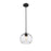 Z-Lite Chloe 1 Light Pendant, Matte Black/Clear