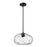 Z-Lite Chloe 1 Light 14" Pendant, Matte Black/Clear - 490P14-MB