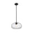 Z-Lite Chloe 1 Light Pendant, Matte Black/Clear