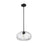 Z-Lite Chloe 1 Light Pendant, Matte Black/Clear