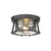 Z-Lite Cape Harbor 2 Light Flush Mount in Bronze/Clear - 491F2-BRZ