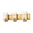 Z-Lite Beckett 3 Light Vanity in Olde Brass/Clear Seedy - 492-3V-OBR