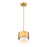 Z-Lite Counterpoint 1 Light Pendant