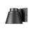 Z-Lite Asher 1 Light Outdoor Wall Sconce, Sand Blast