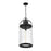 Z-Lite Roundhouse 1 Light 28" Outdoor Chain Ceiling, Black/Seedy