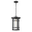 Z-Lite 1 Light Jordan 10" Outdoor Chain Mount Ceiling Fixture, Black - 570CHB-BK