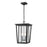 Z-Lite Seoul 2 Light Outdoor Chain Mount Fixture, Black/Clear - 571CHB-BK