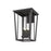 Z-Lite Seoul 4 Light Outdoor Wall Sconce in Black/Clear