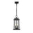 Z-Lite Millworks 2 Light Outdoor Chain Ceiling Fixture, Black/Clear - 574CHM-BK